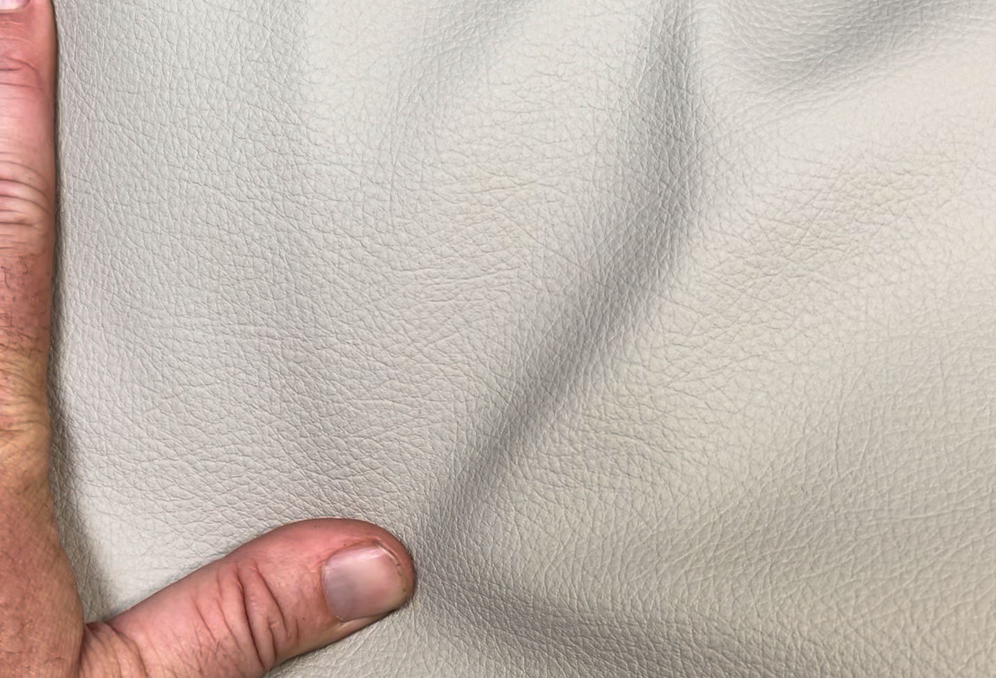 Padded Cargo Liner for Dogs