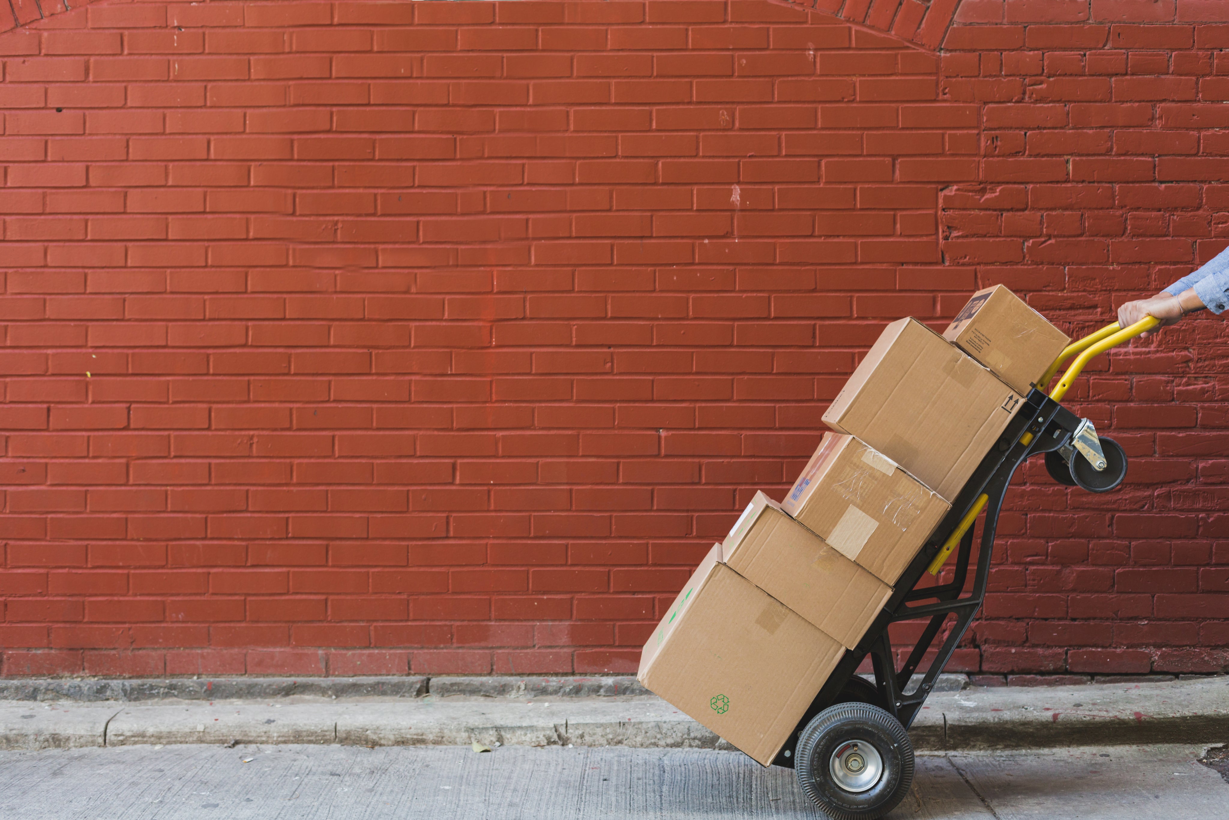 Shipping Cargo Liners
