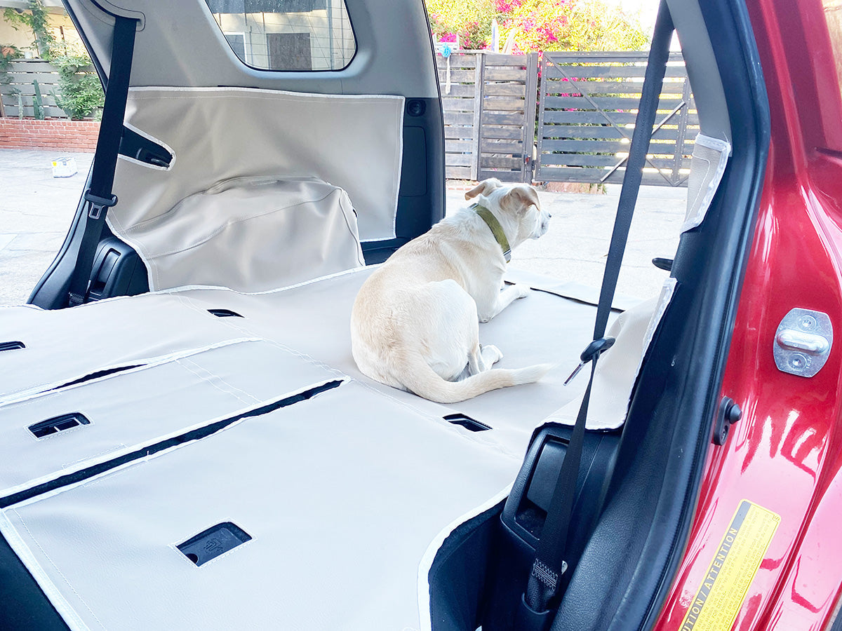 Dog in back seat of a Jeep Cherokee