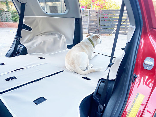Dog in back seat of a Subaru Crosstrek