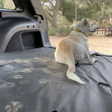 2018 Jeep Wrangler Cargo Liner for Dogs