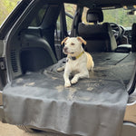 Wiping dog hair from a cargo liner
