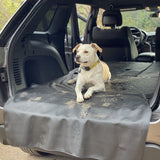 Wiping dog hair from a cargo liner