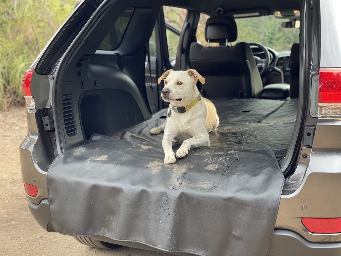 Wiping dog hair from a cargo liner
