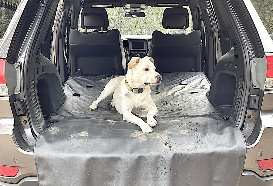 Dog on an Honda Pilot cargo liner