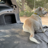 Ruff Rugs Dog Cargo Liner